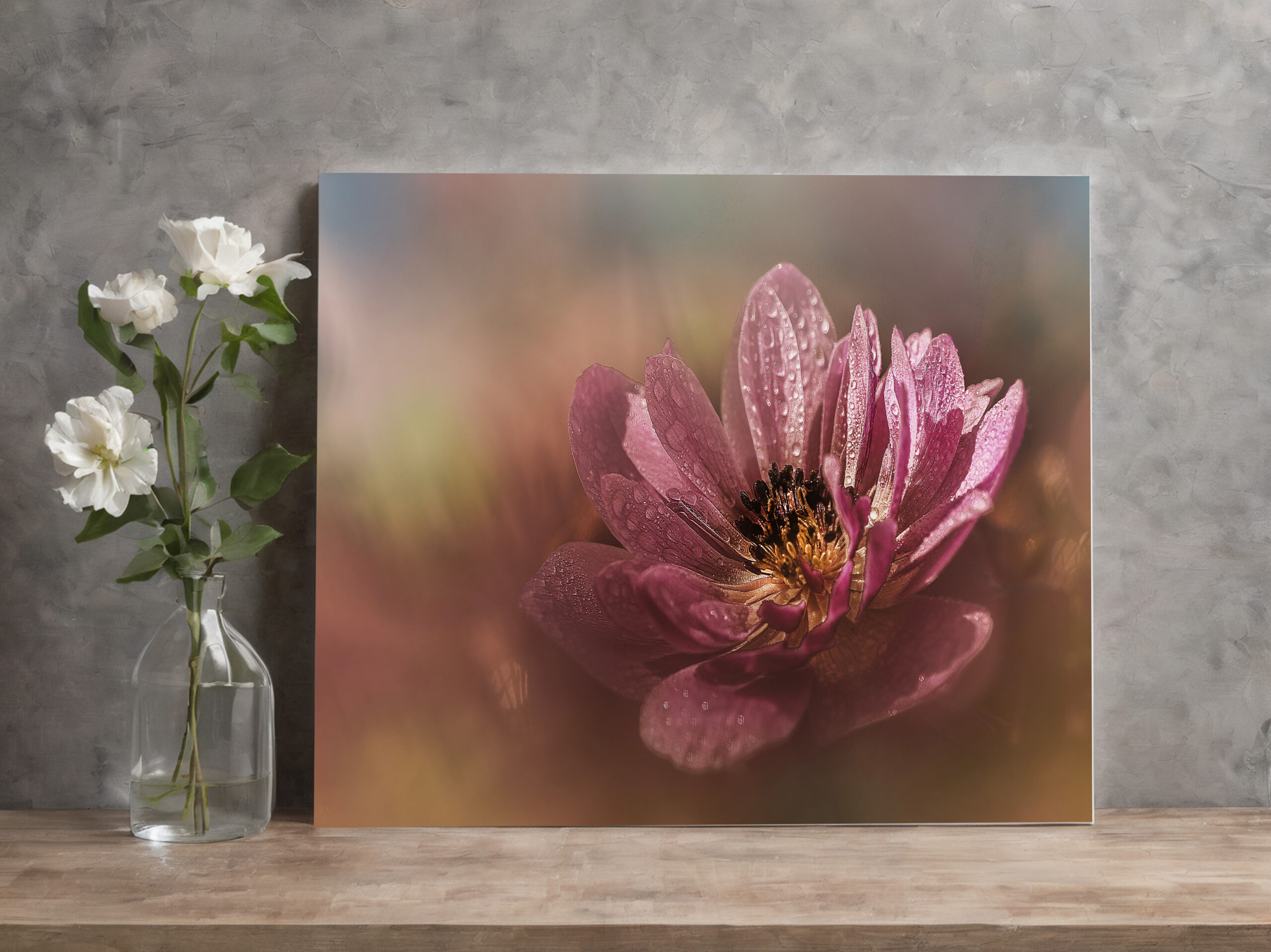 raxxa Canva: Dream - Image 3