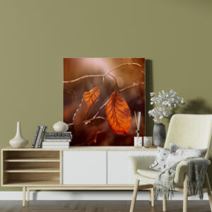 raxxa Canva: Autumn
