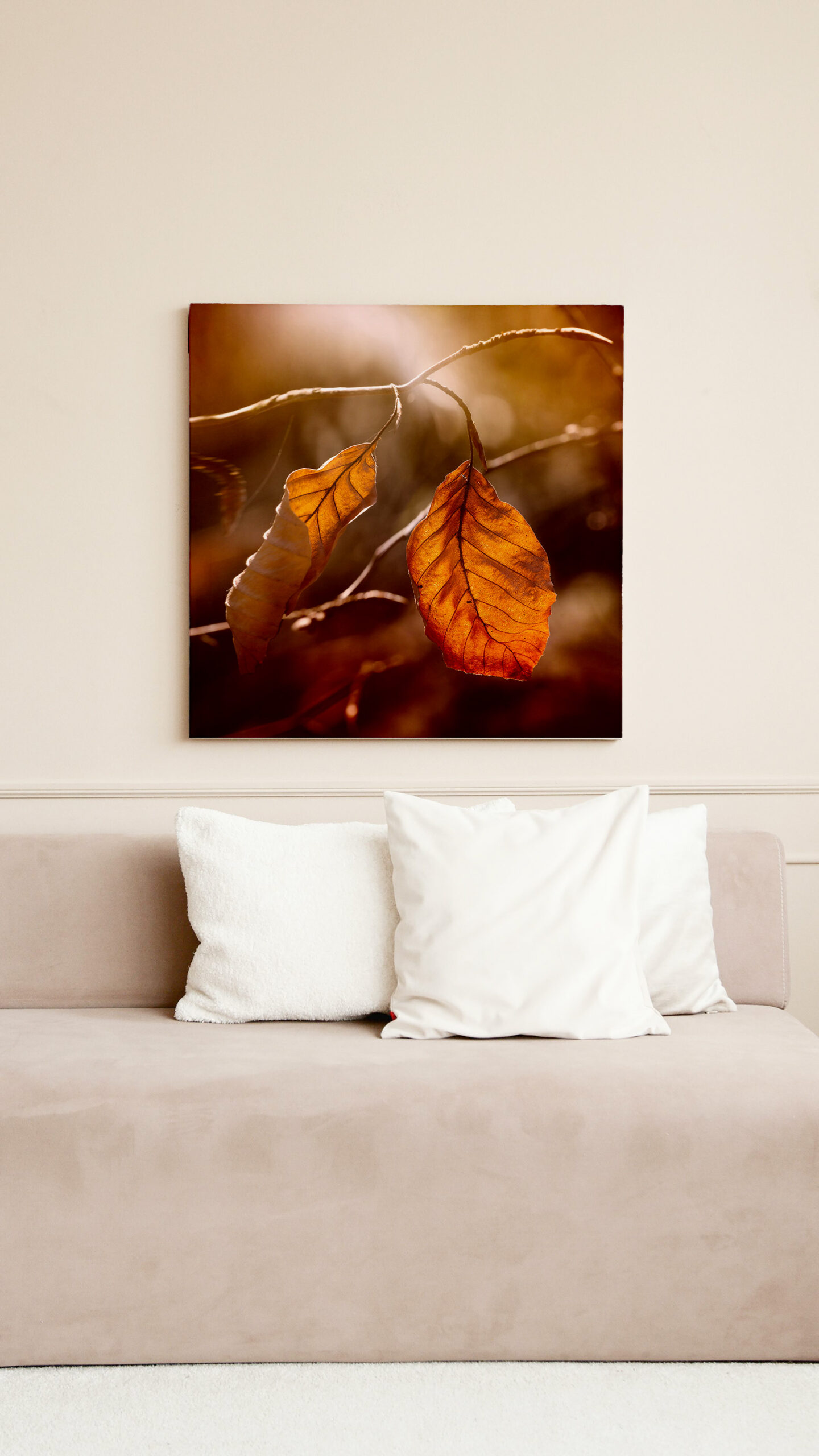 raxxa Canva: Autumn – Image 2