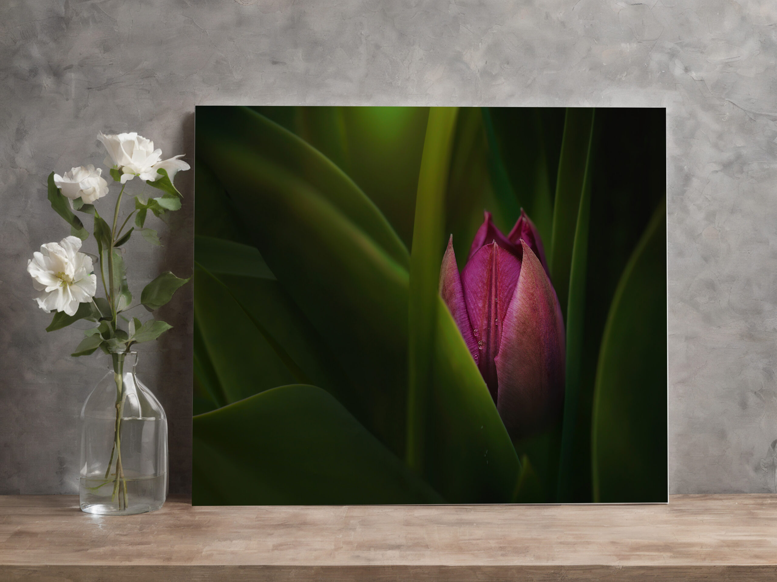 raxxa Canva: Versteckt