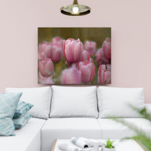 raxxa Canva: Tulpen