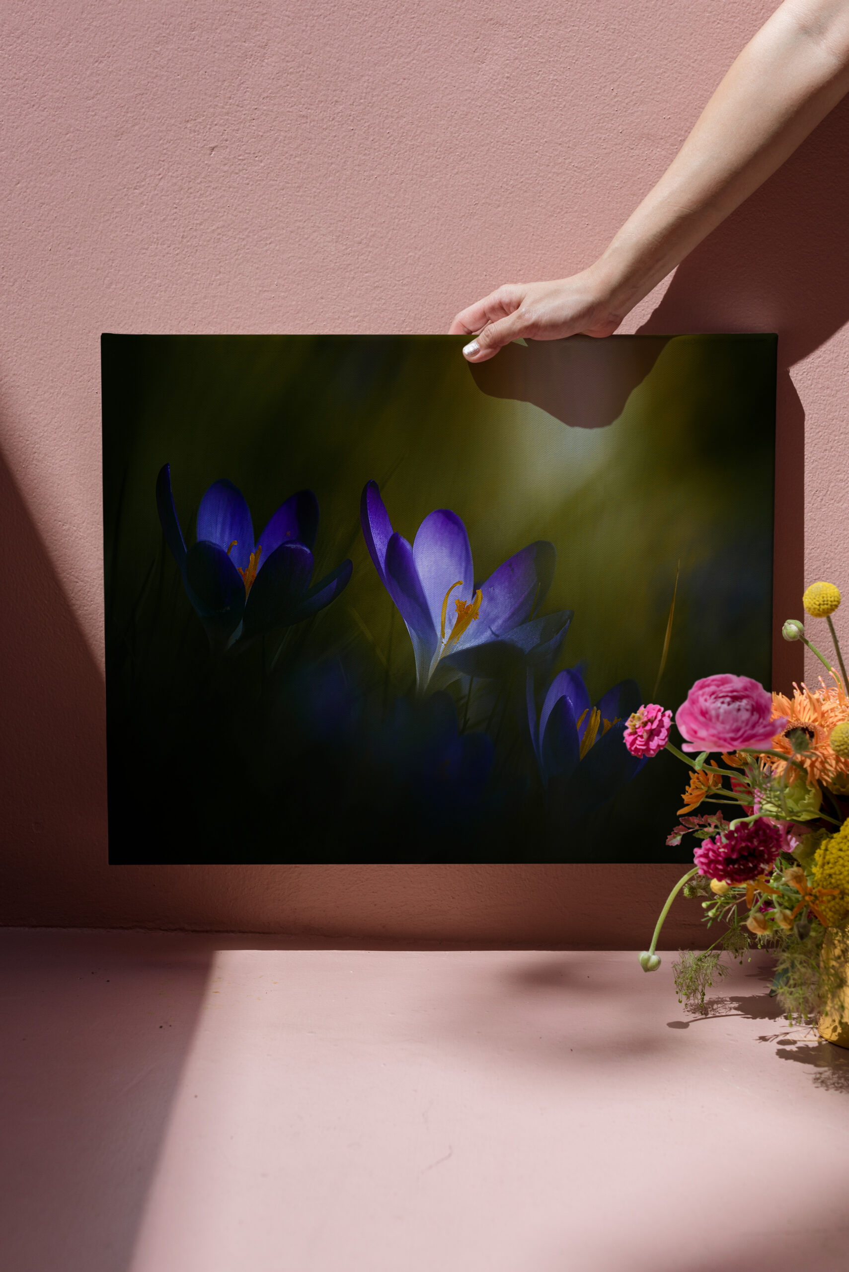 raxxa Canva: Krokusse – Image 2