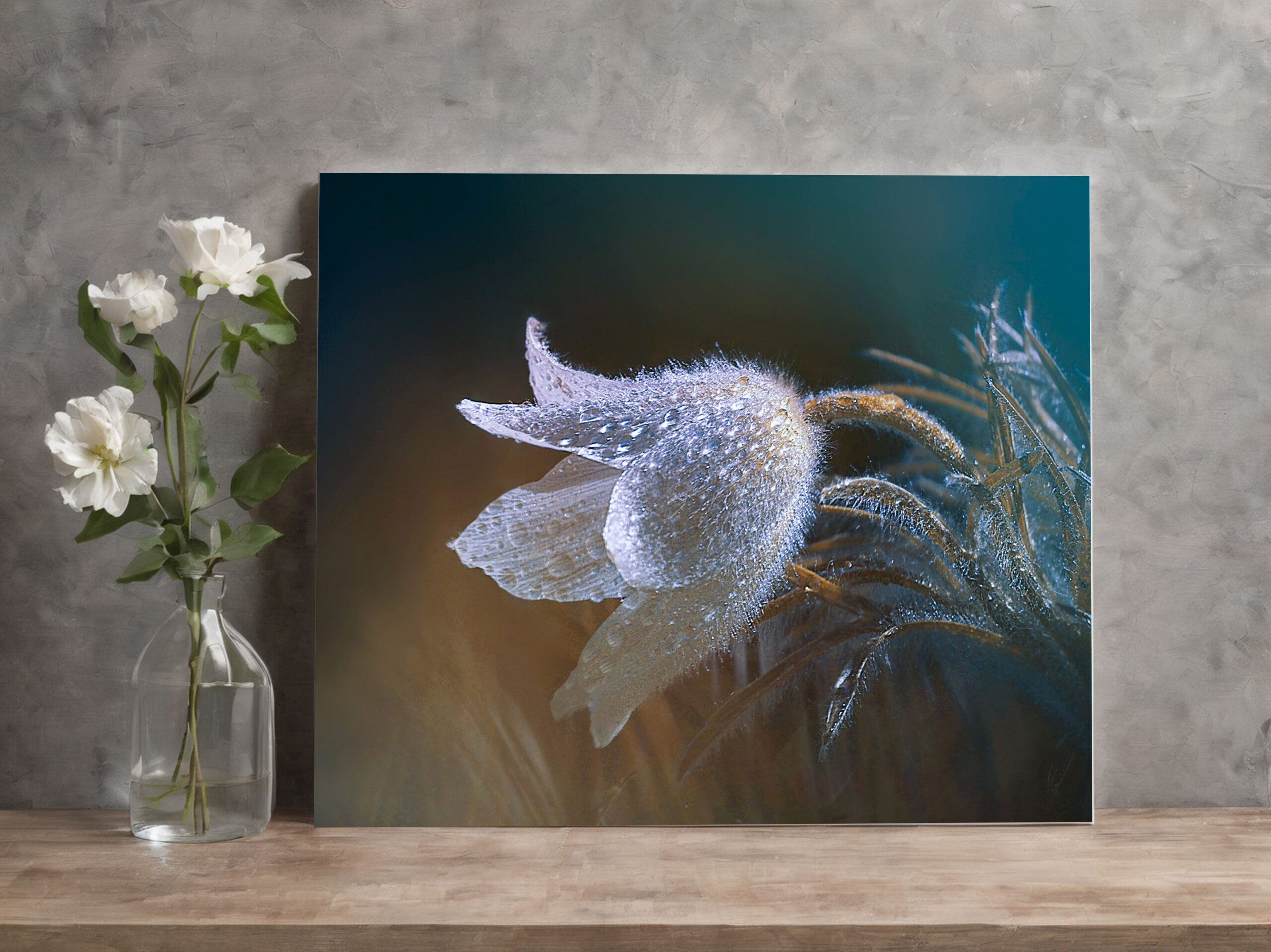 raxxa Canva: Flauschiges Blümchen