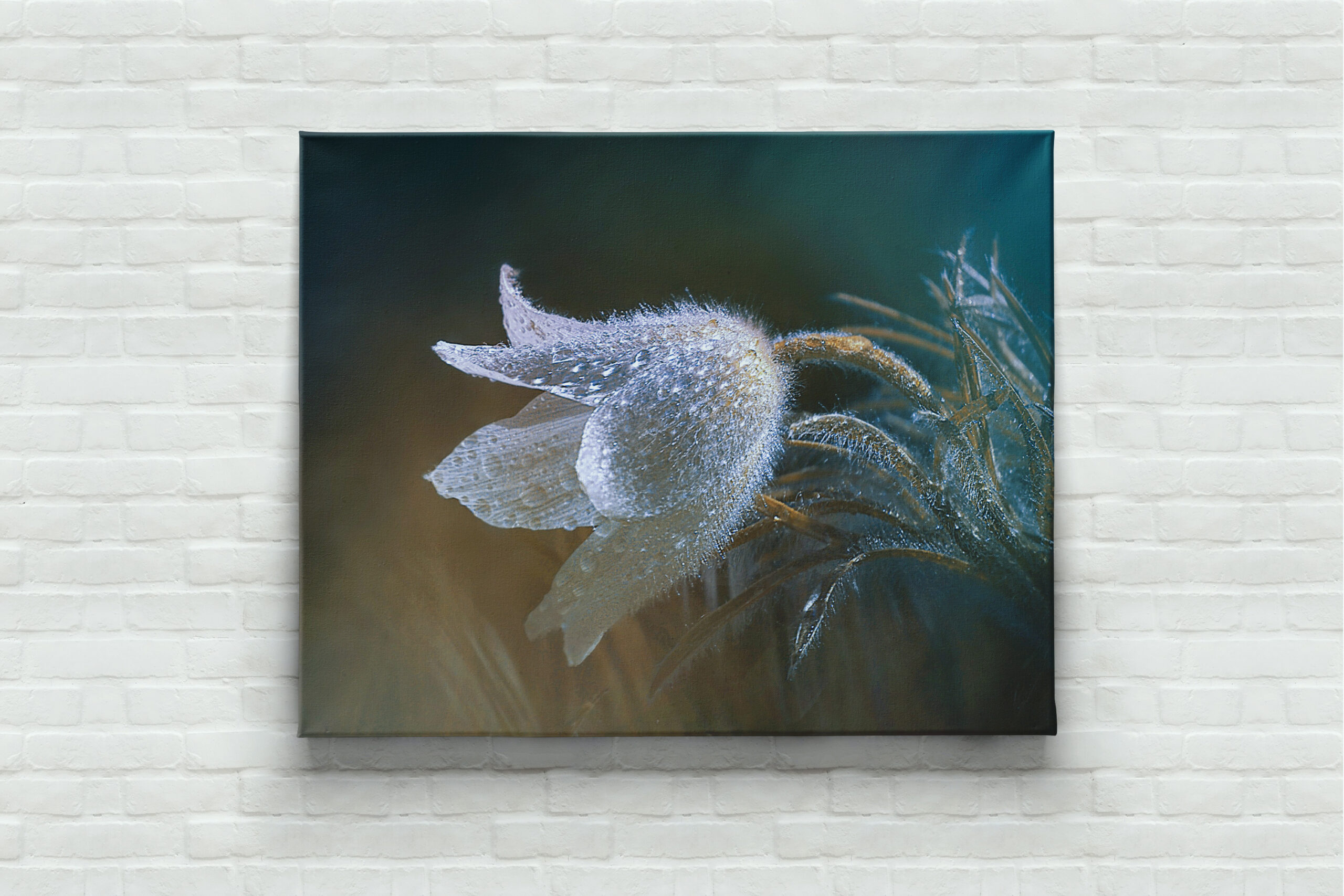 raxxa Canva: Flauschiges Blümchen - Imagen 2