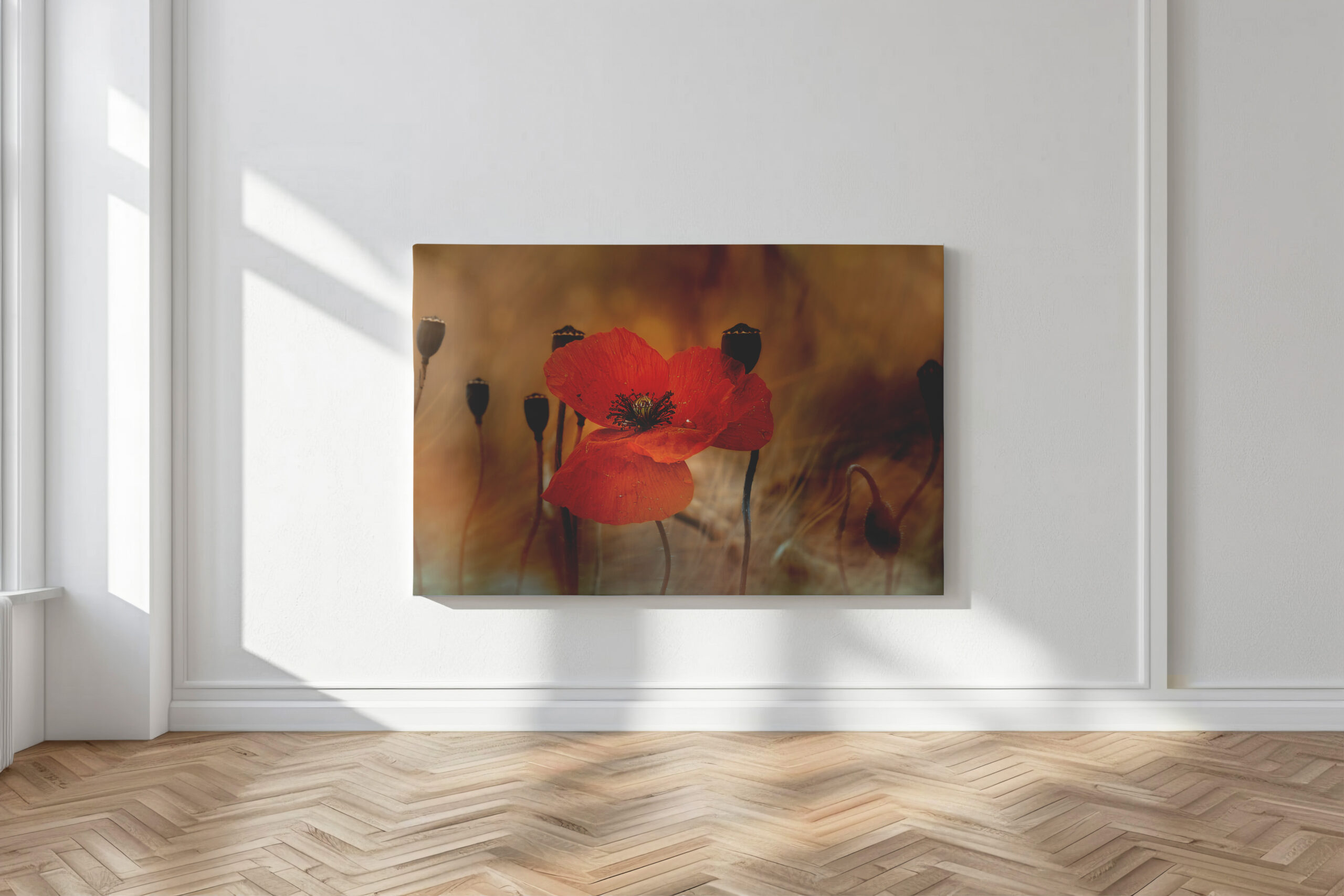 raxxa Canva: Mohnblume – Image 3