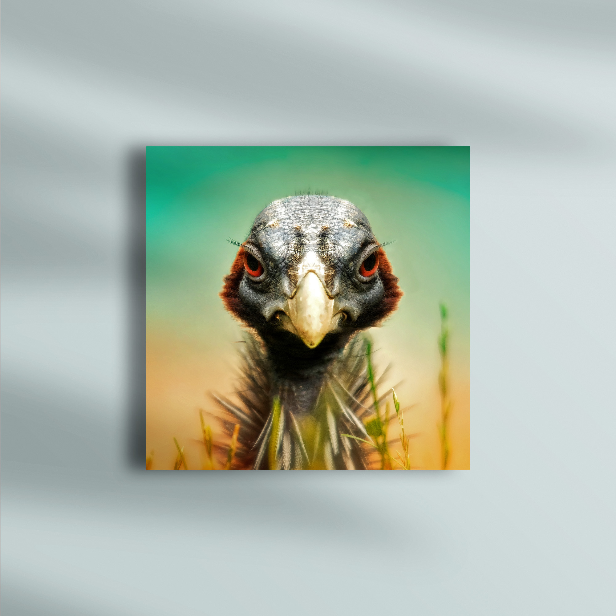raxxa Canva: Gack - Imagen 3