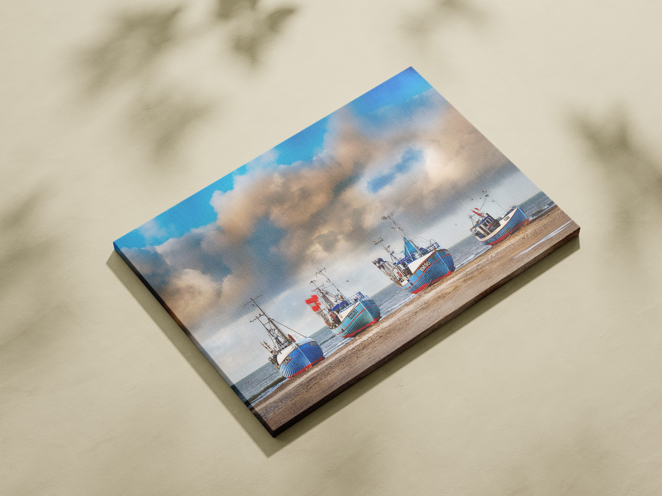 raxxa Canva: Single - immagine 2