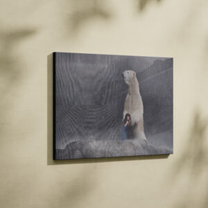 raxxa Canva: Beschützer