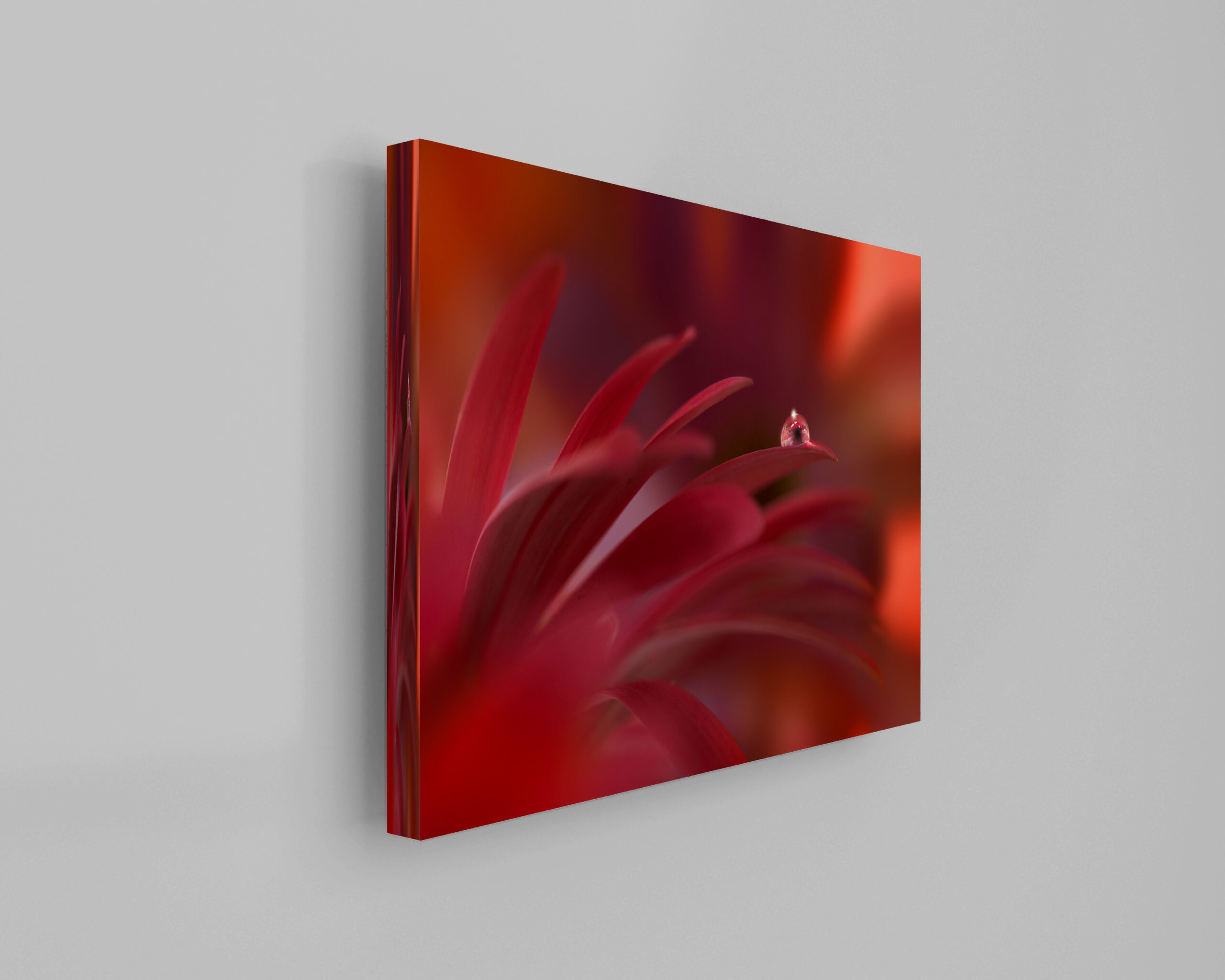 raxxa Canva: Roter Tropfen - Image 2