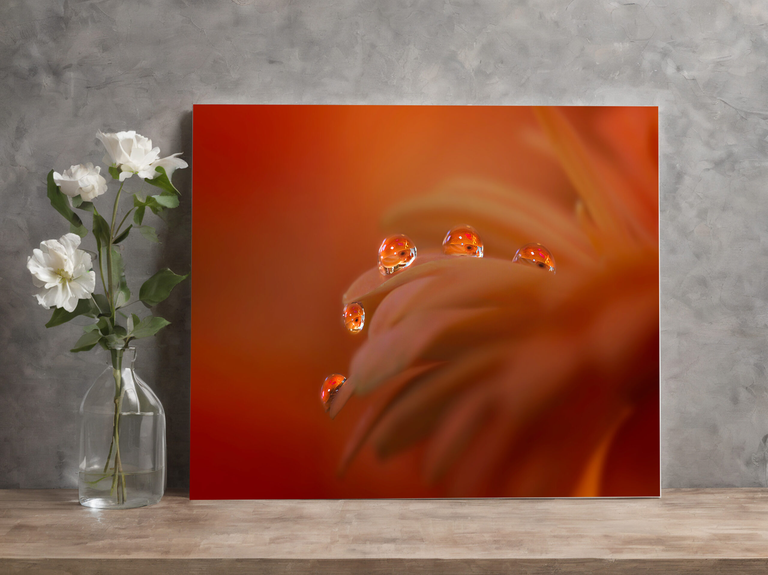 raxxa Canva: Tropfengarde