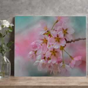 raxxa Canva: Frühlingsblüten