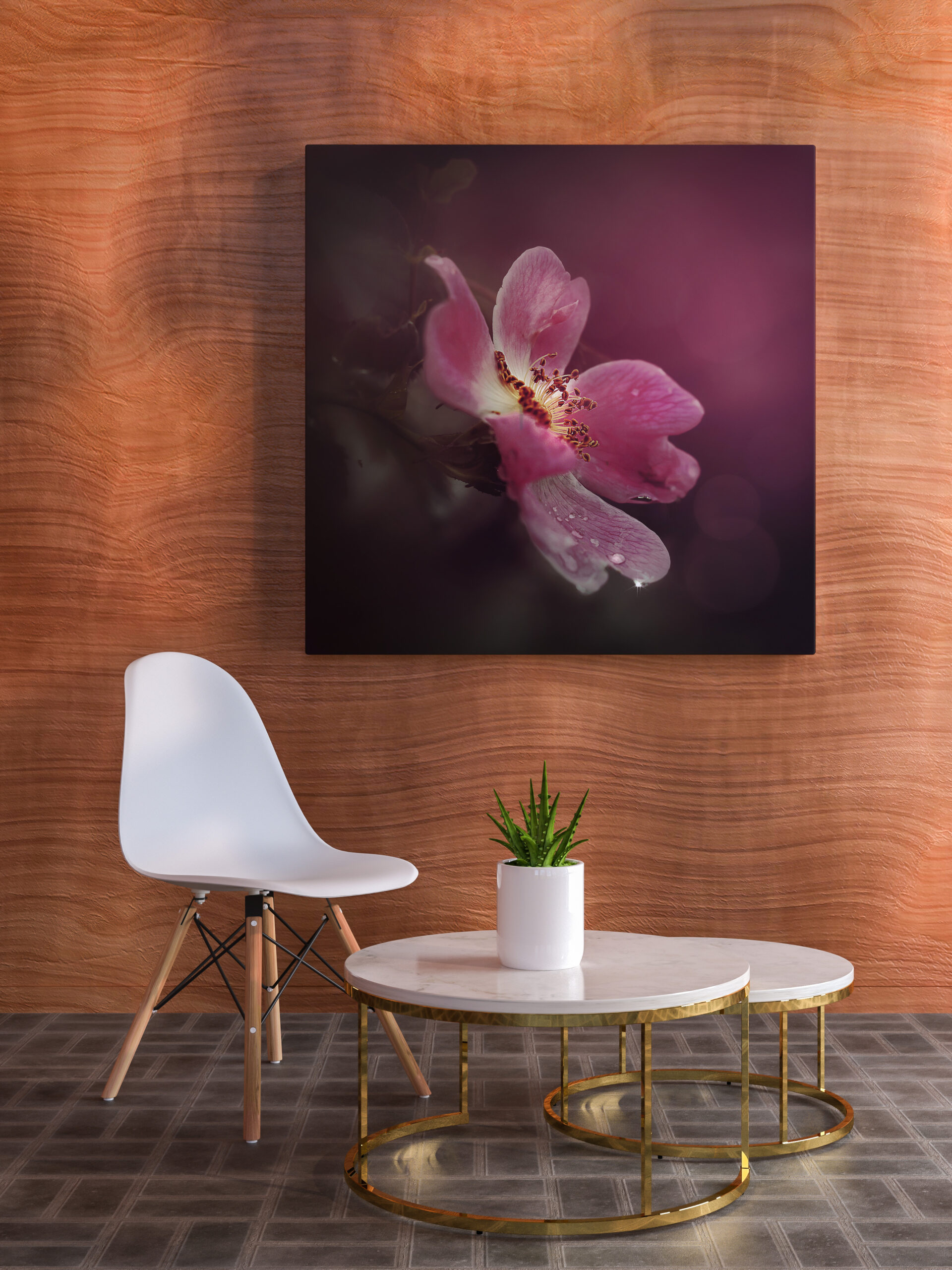 raxxa Canva: Wildrose