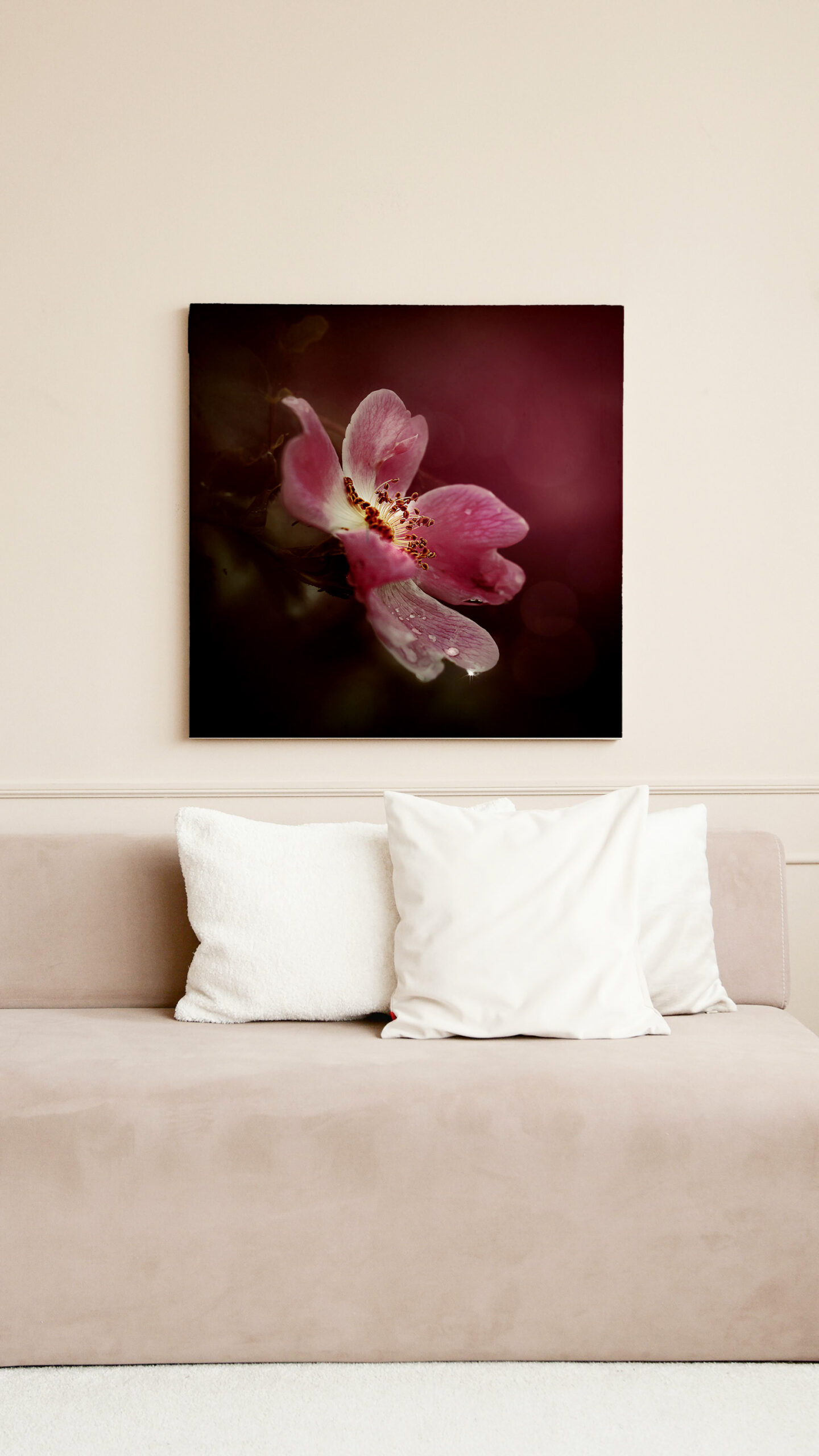 raxxa Canva: Wildrose – Image 2