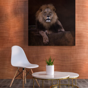 raxxa Canva: Big Boy