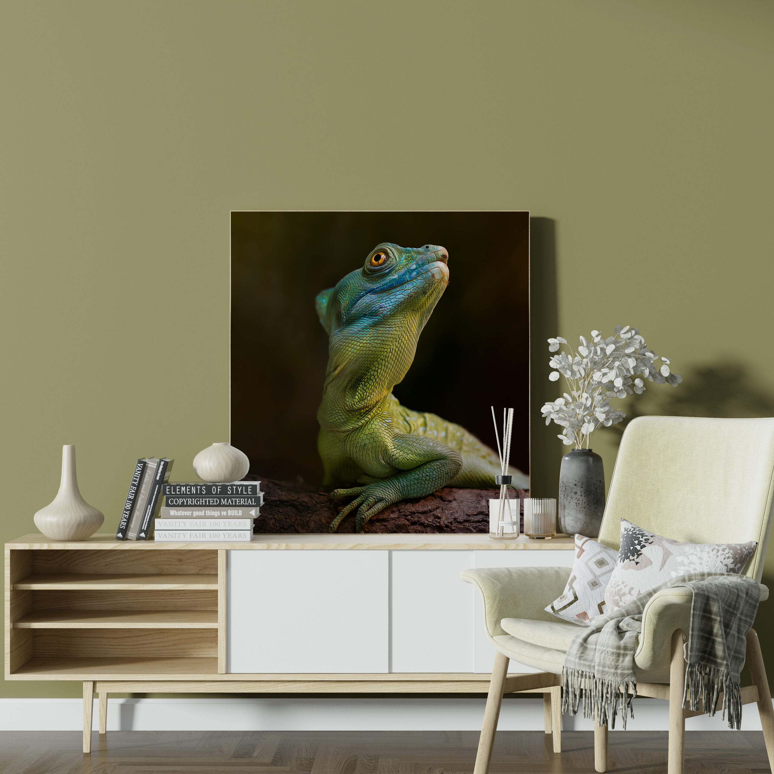 raxxa Canva: Schönling