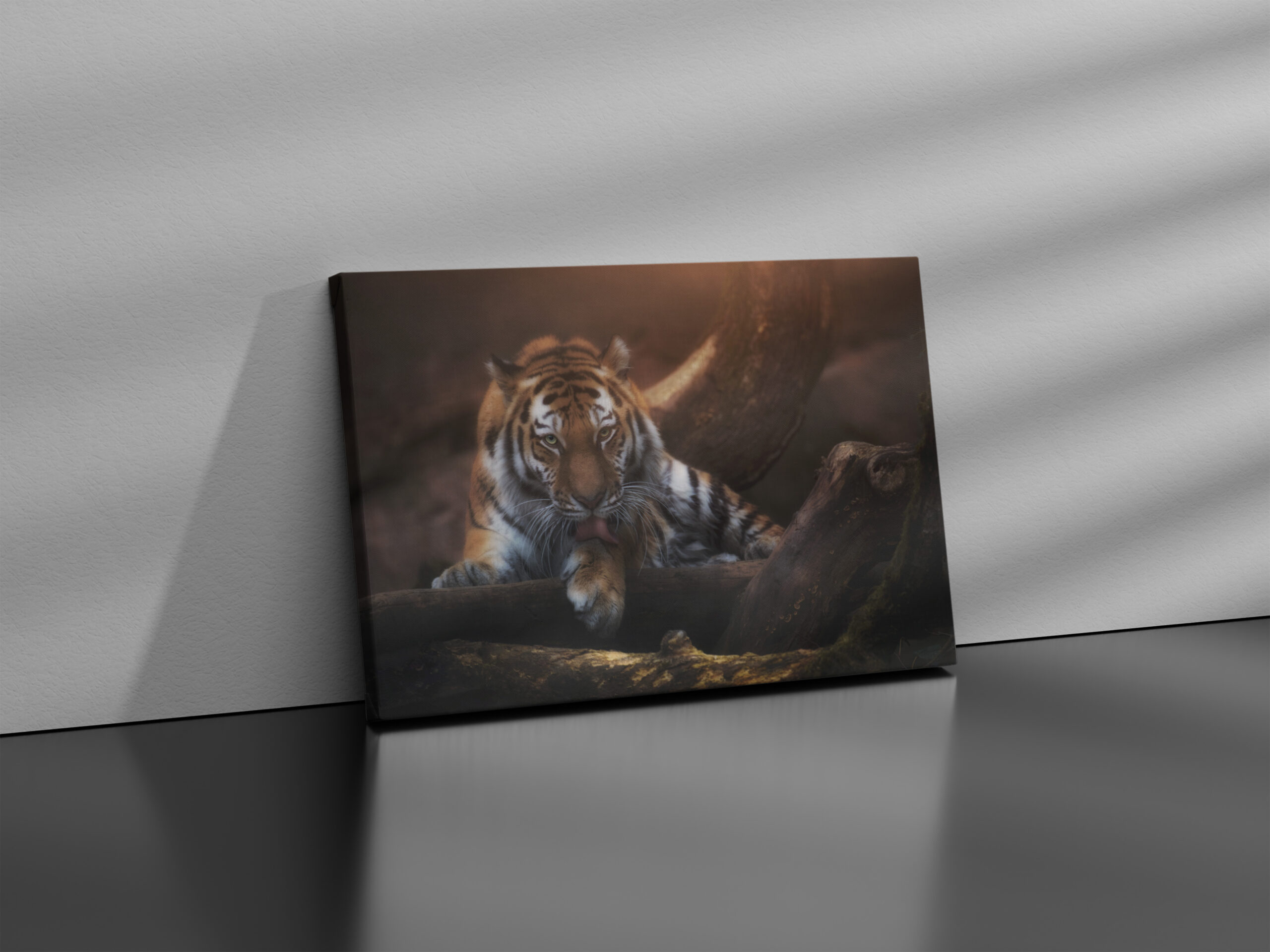 raxxa Canva: I see you – Image 3