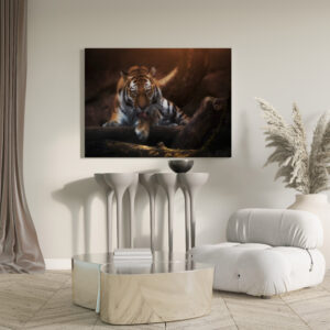 raxxa Canva: I see you