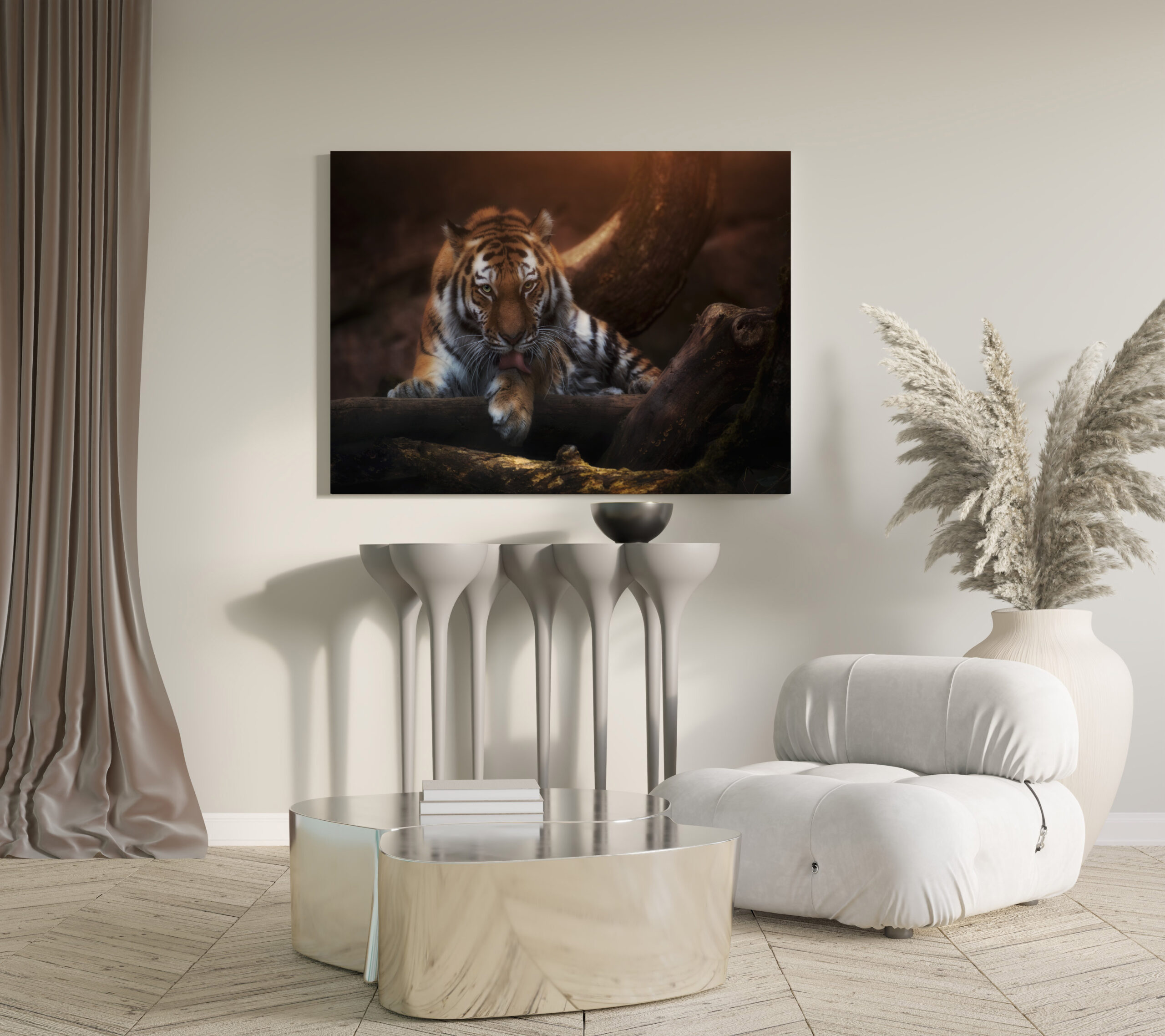 raxxa Canva: I see you