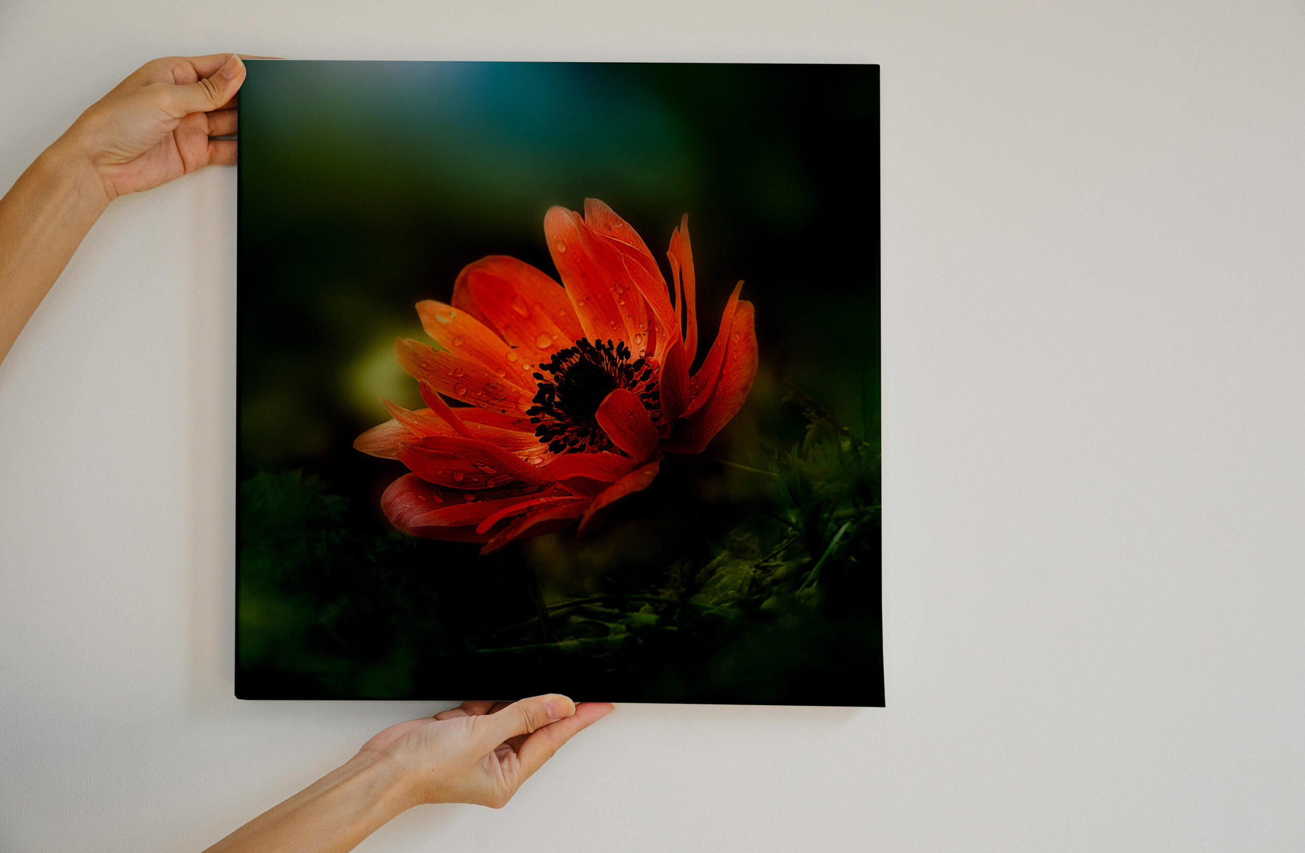 raxxa Canva: Fire flower – Image 2