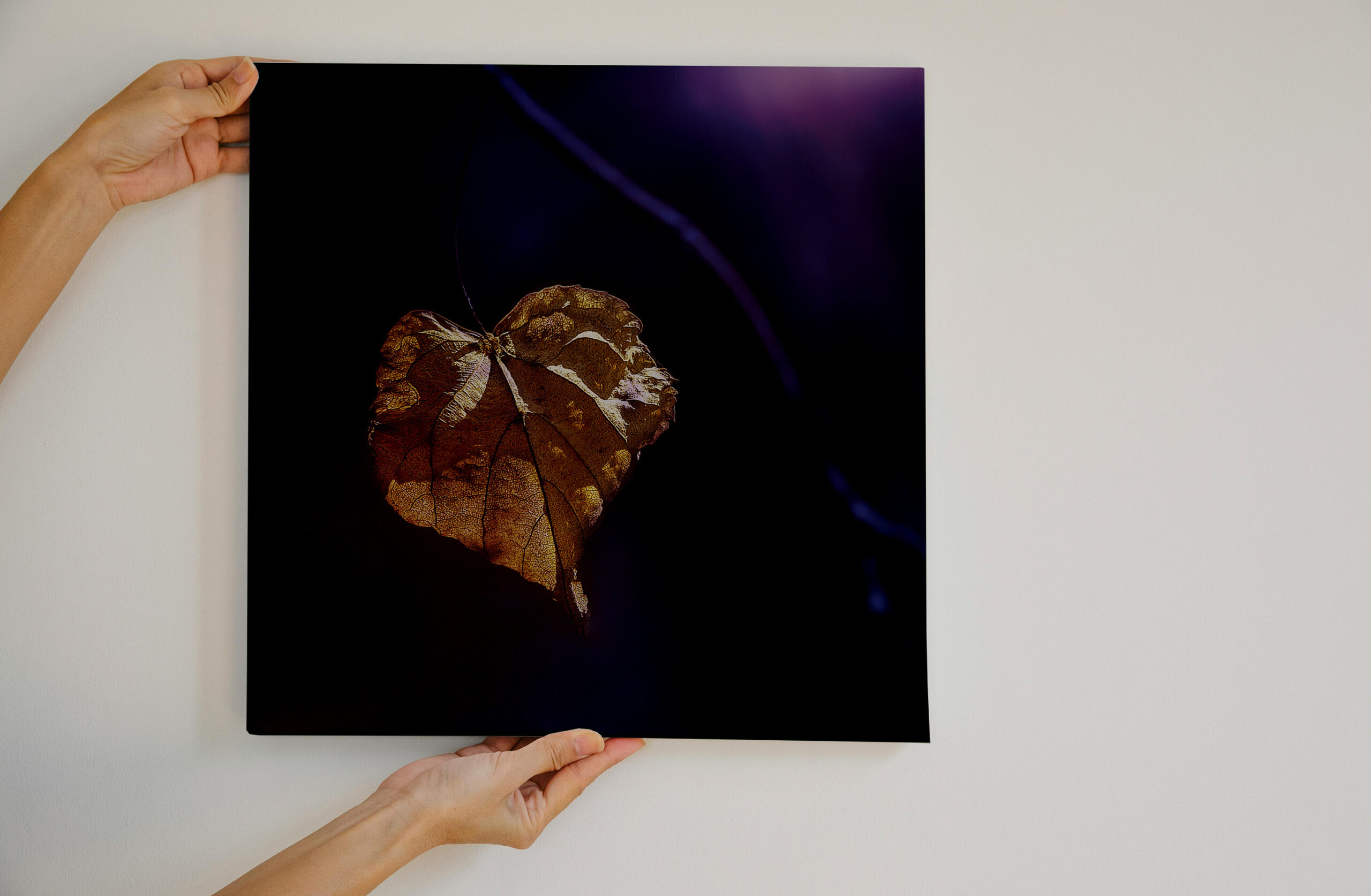 raxxa Canva: Herzblatt - Image 2