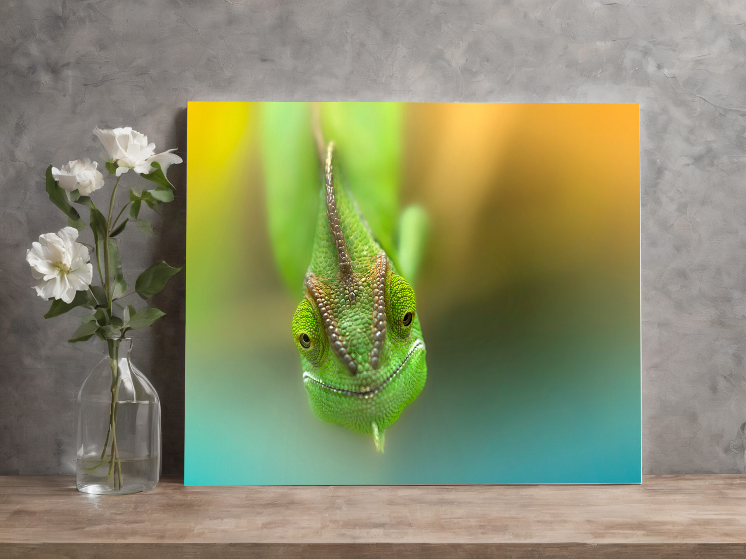 raxxa Canva: Cheese – Bild 3