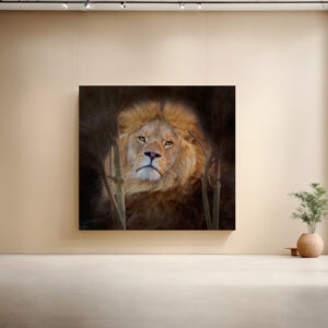 raxxa Canva: The King