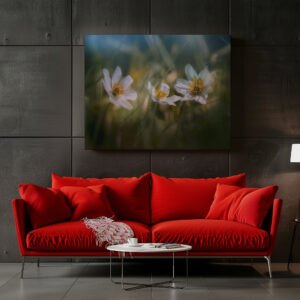 raxxa Canva: Trio