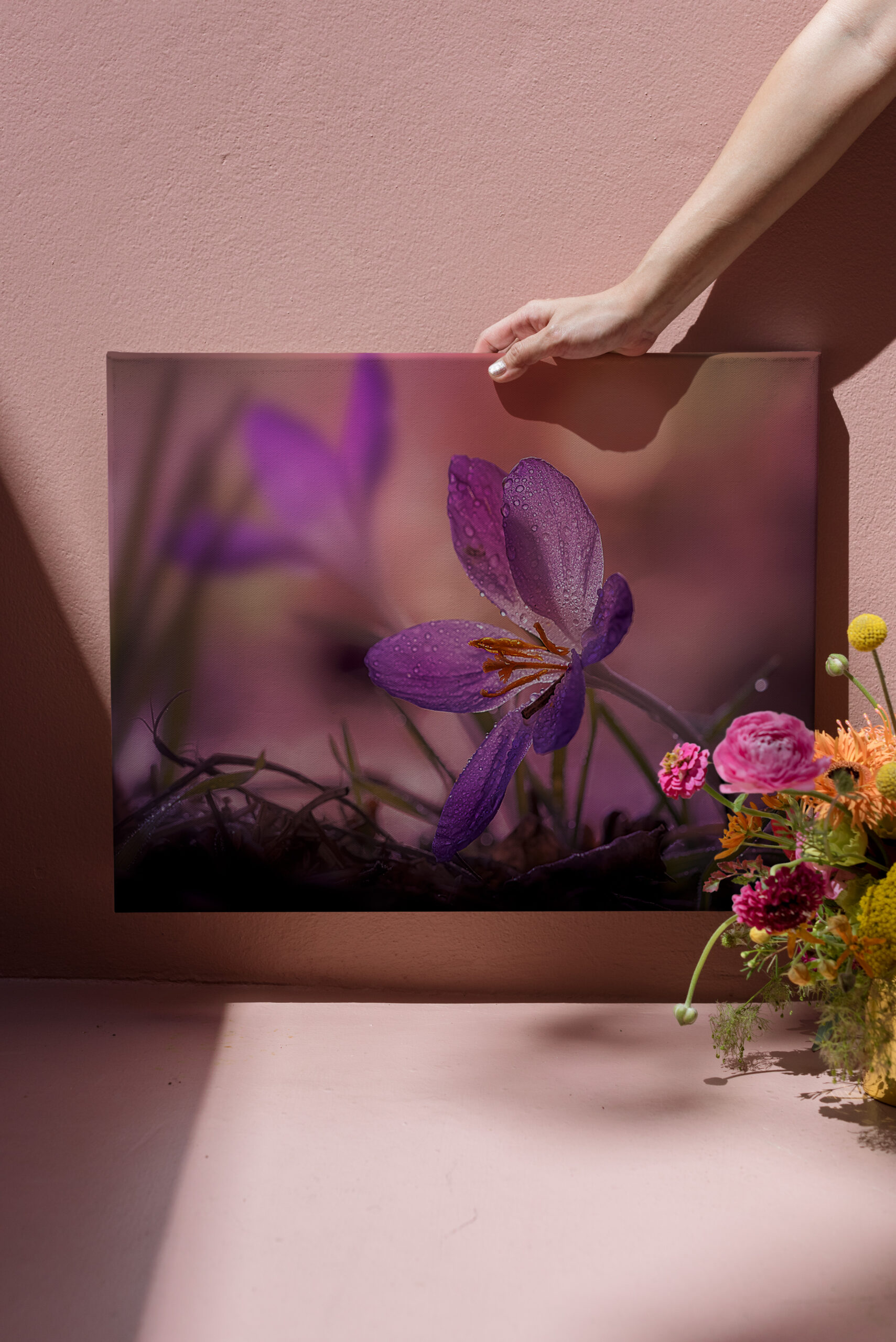 raxxa Canva: pink crocus – Image 3