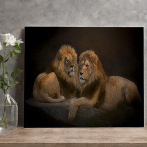 raxxa Canva: Brothers