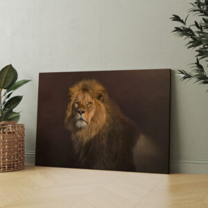 raxxa Canva: Sir King II