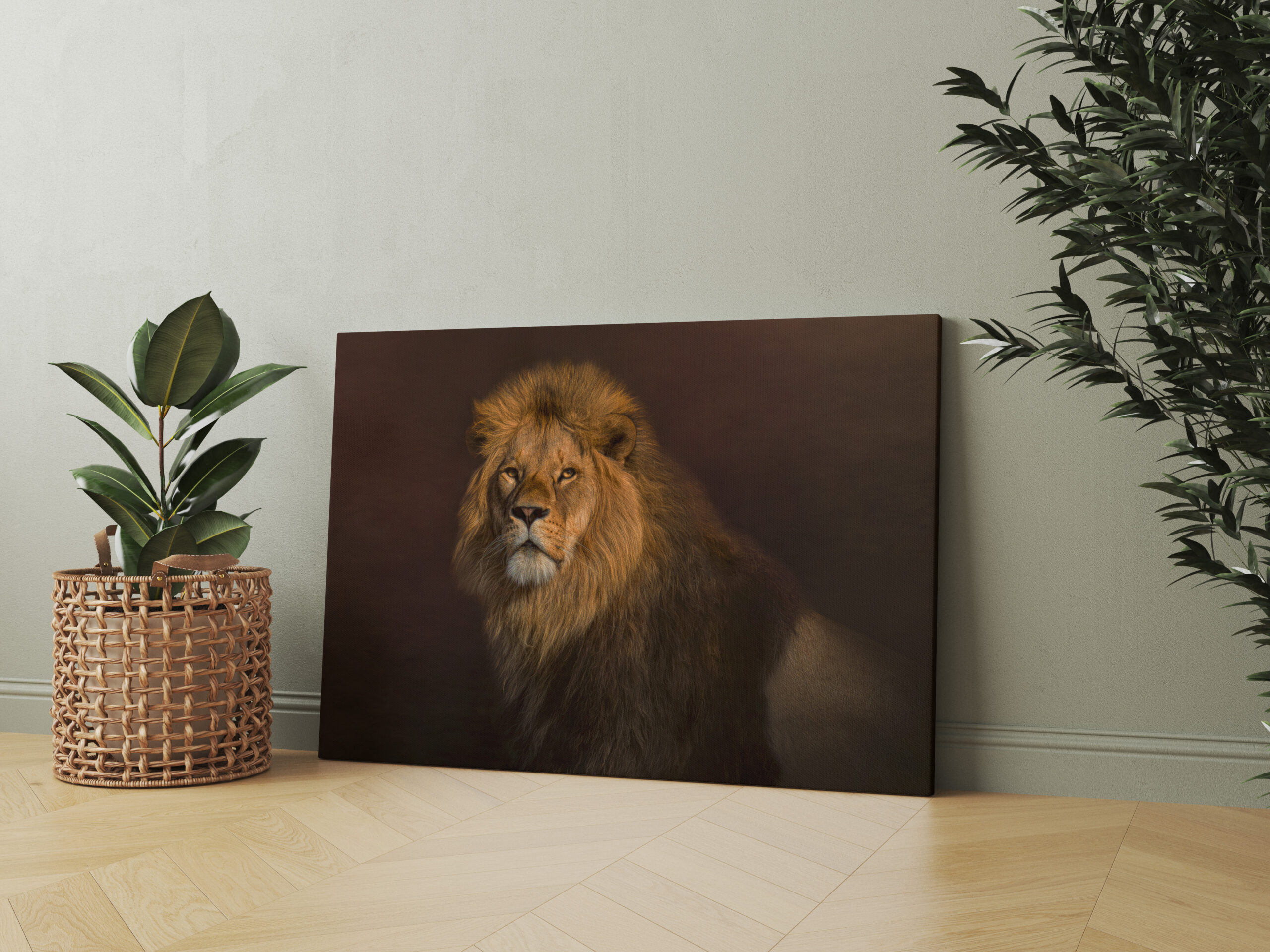 raxxa Canva: Sir King II