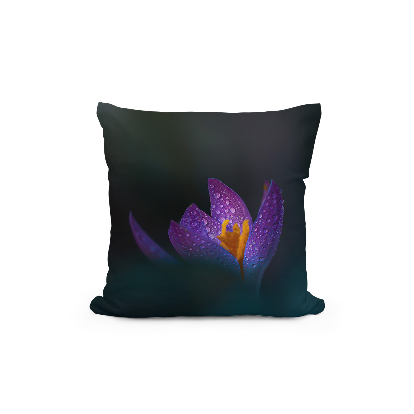 Kissen: Spring 21 - Imagen 2