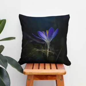 Kissen: Blue Crocus