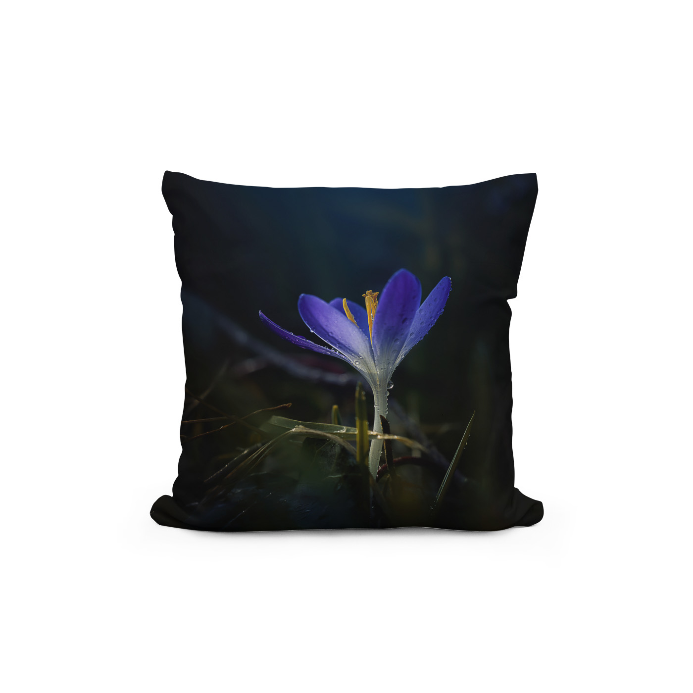 Kissen: Blue Crocus – Image 2