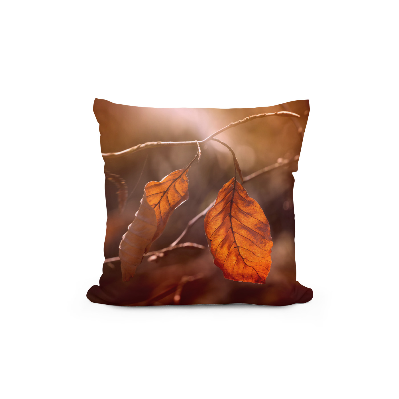 Kissen: Autumn - Imagen 2