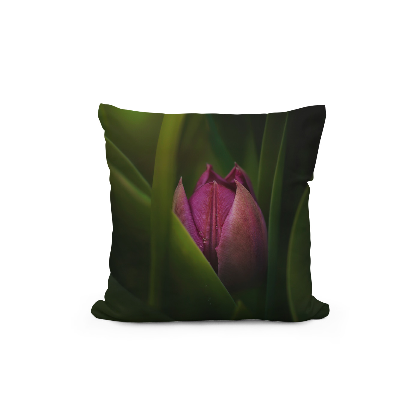 Kissen: Versteckt – Image 2