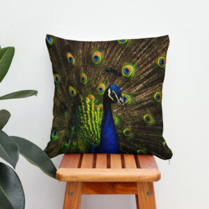 Kissen: Pfau