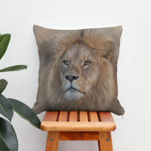 Kissen: Sir King