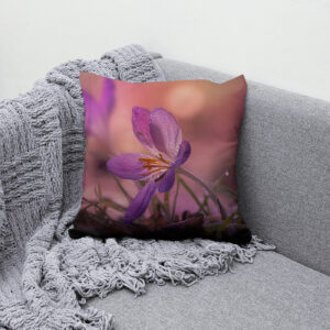 Kissen: pink crocus