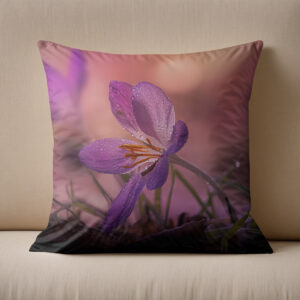 Kissen: pink crocus