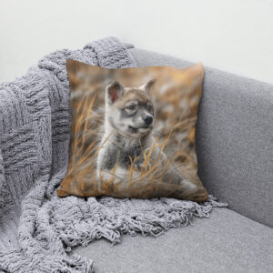 Kissen: Siberian Husky