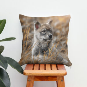 Kissen: Siberian Husky