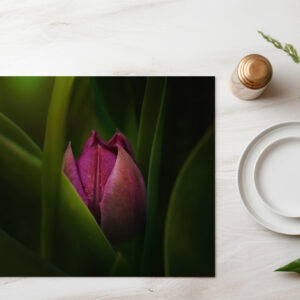 raxxa Premium-Tischset: Versteckt