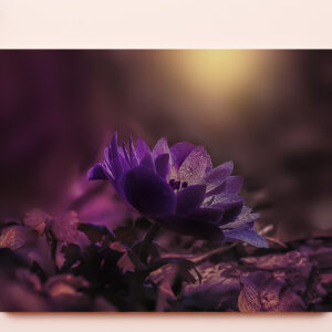 raxxa Premium-Tischset: Lila Sinfonie