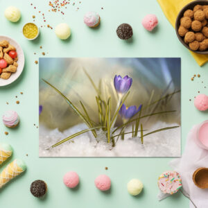 raxxa Premium-Tischset: Krokus im Schnee