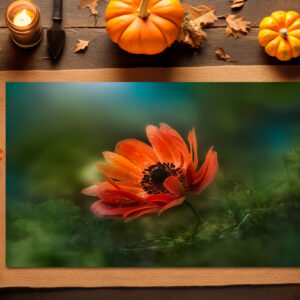 raxxa Premium-Tischset: Fire flower