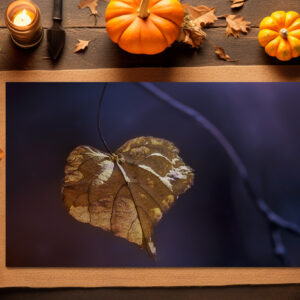 raxxa Premium-Tischset: Herzblatt