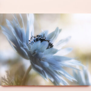 raxxa Premium-Tischset: Black Heart