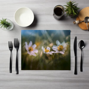 raxxa Premium-Tischset: Trio
