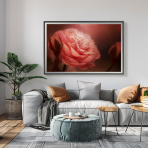 Poster: Rose